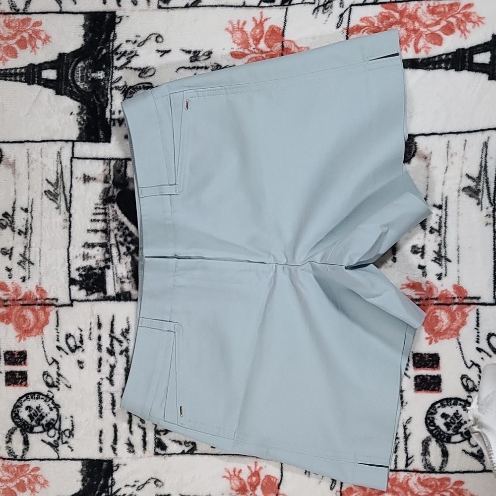 NWOT WHBM Seafoam Shorts Sz 10